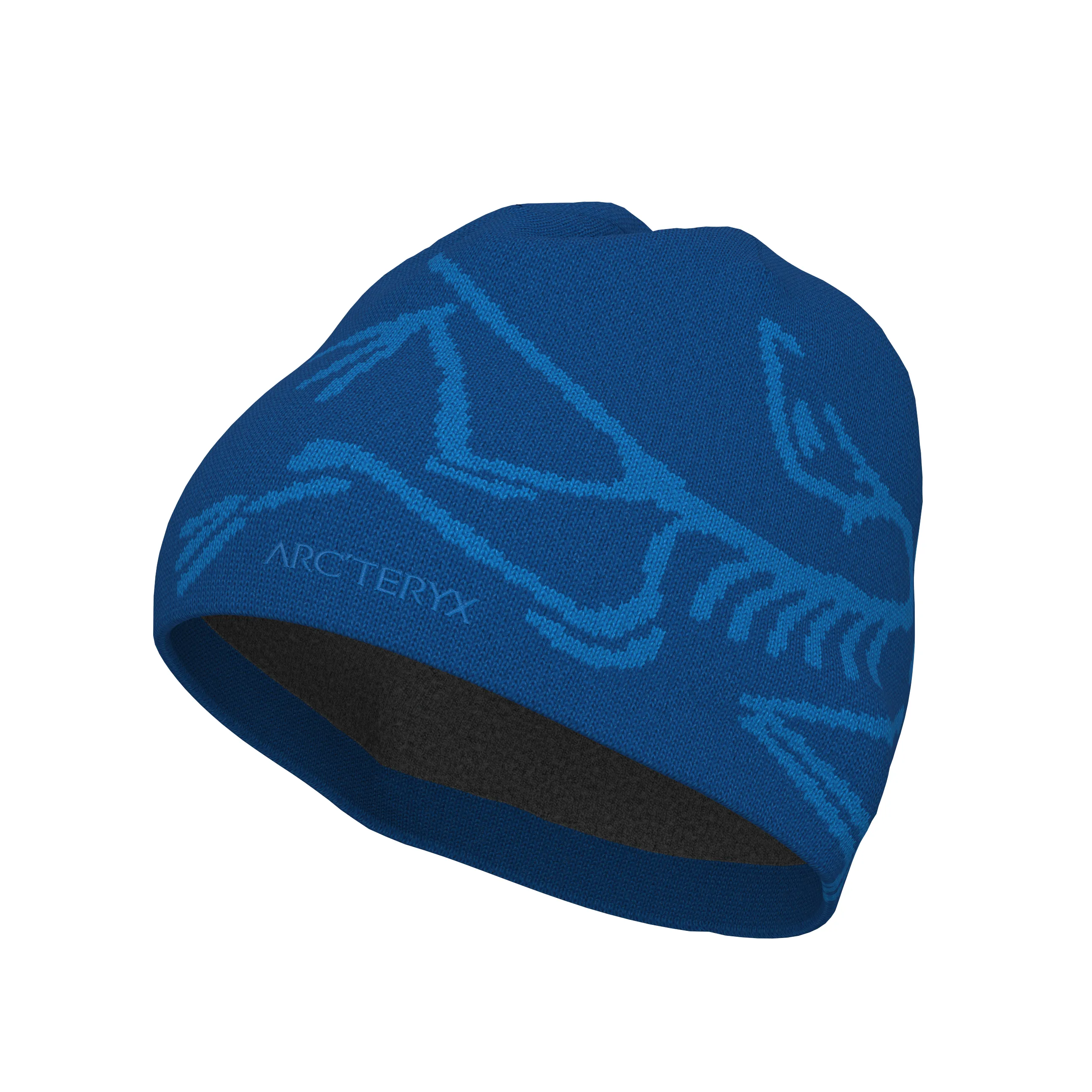 Arc'teryx Bird Head Toque